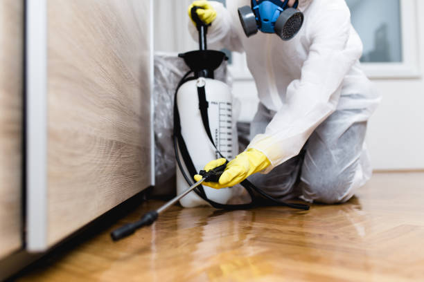 Best Emergency Pest Control  in Grass Valley, CA