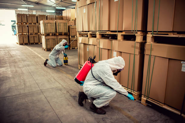 Professional Pest Control in Grass Valley, CA
