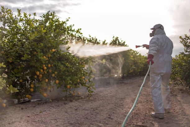 Best Affordable Pest Control Services  in Grass Valley, CA