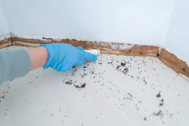 Best Pest Prevention Services  in Grass Valley, CA